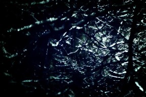 世界拳击青少年体能监测设备市场分析，拳击体能训练视频