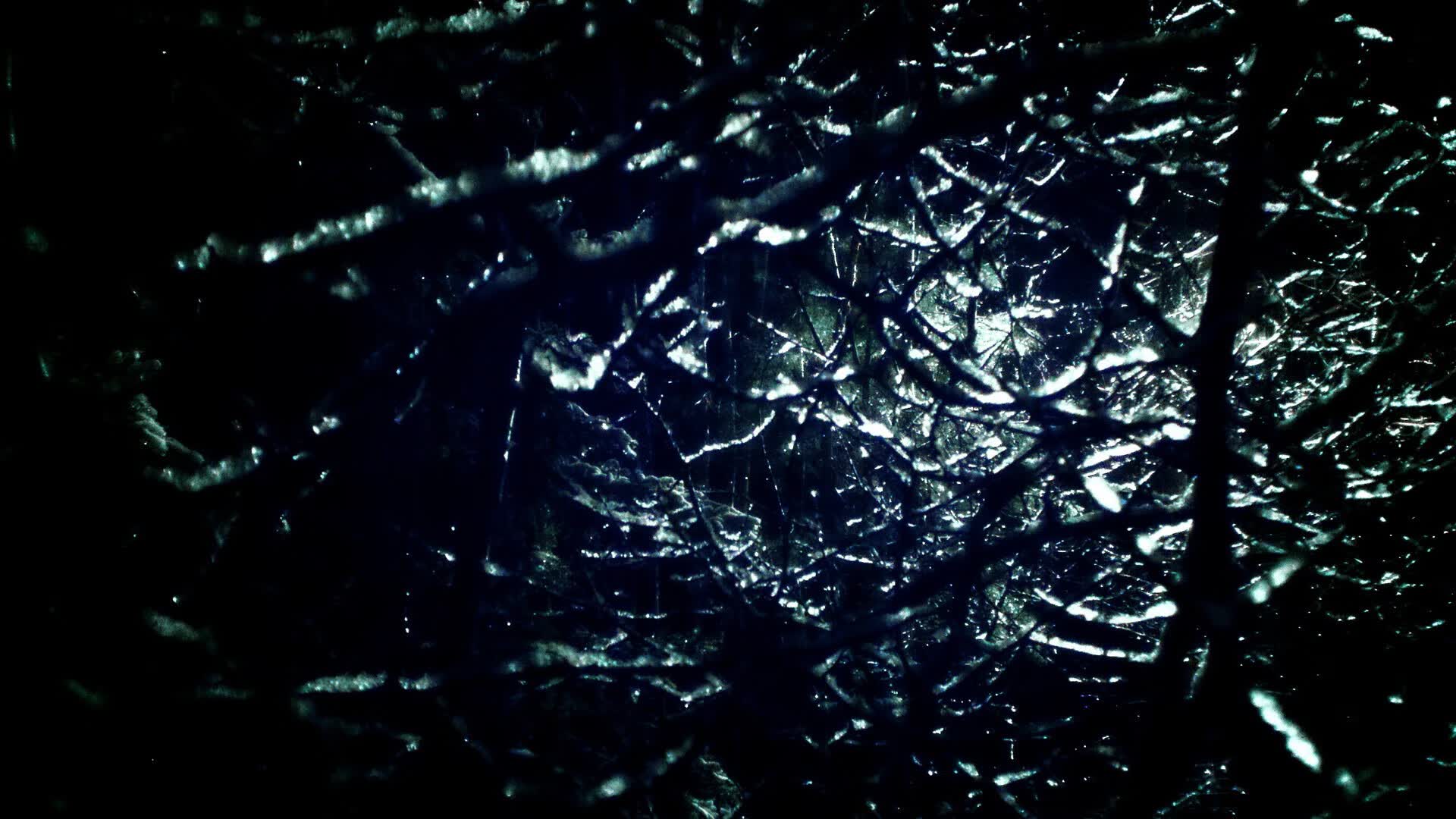 世界拳击青少年体能监测设备市场分析，拳击体能训练视频